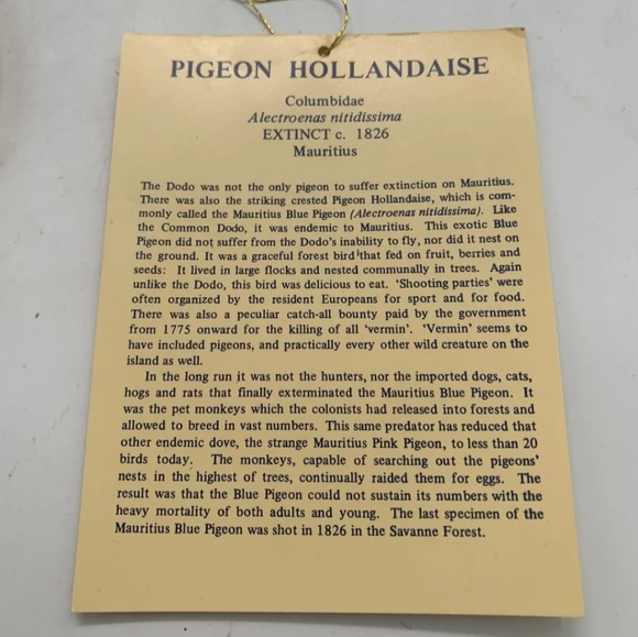 RARE Pigeon Hollandaise Extinct Bird Vintage Aldon Porcelain Sculpture No Box - Picture 8 of 10